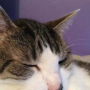 Meet your Posher, Bianca